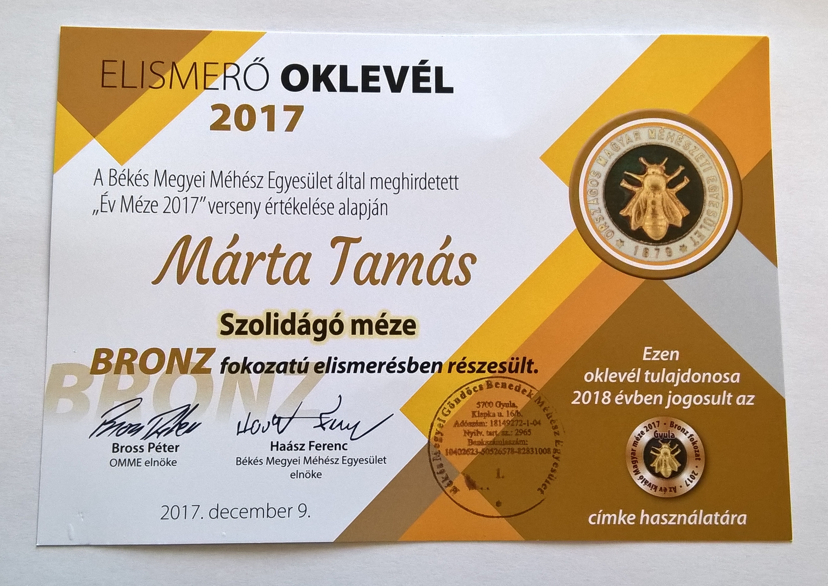marta-tamas-szolidagomez-bronz-2017